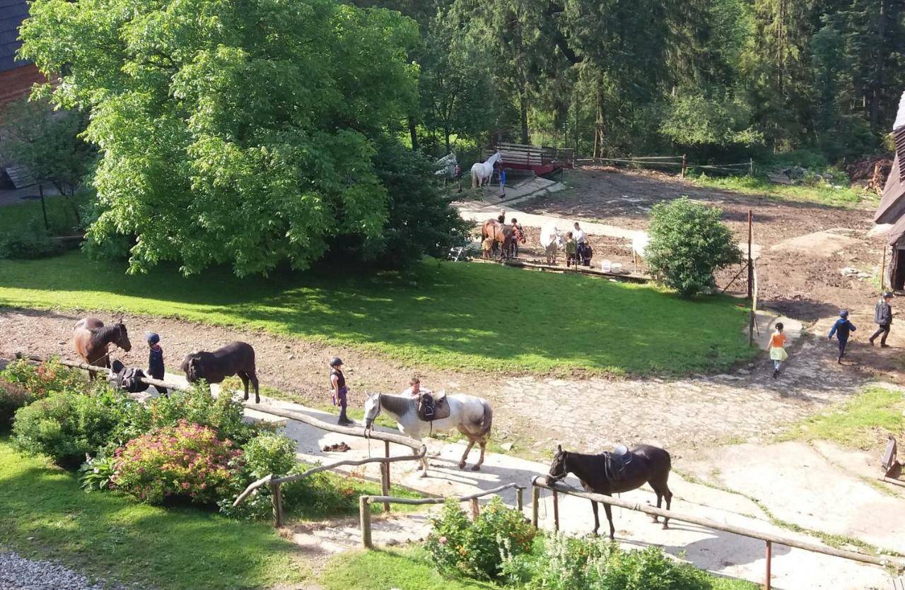 Gorski Osrodek Jezdziecki Bukowina Tatrzańska Extérieur photo